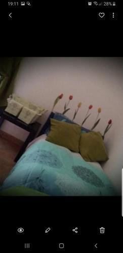 Фото Holiday Home Il Sogno A San Pietro