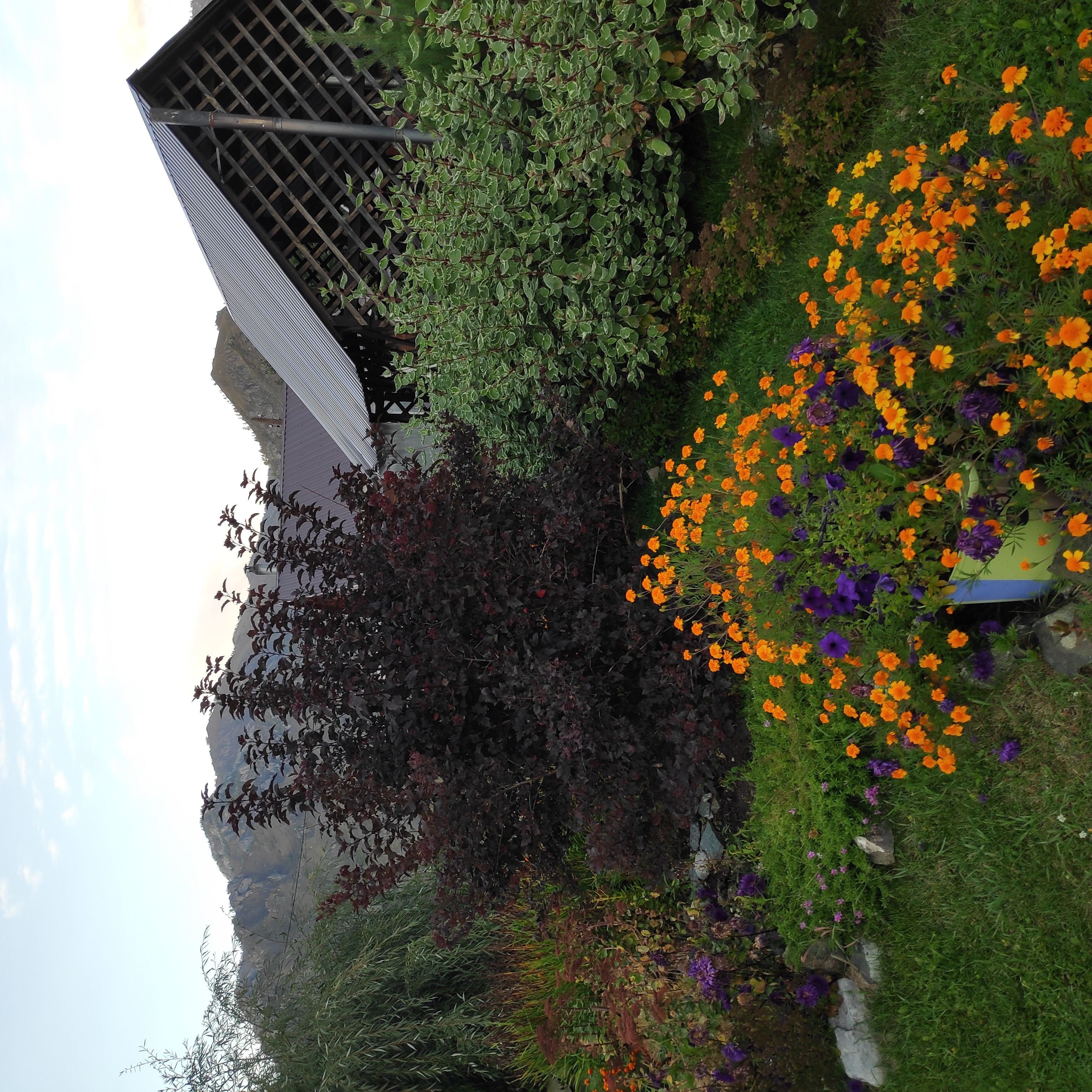 Фото Деревушка