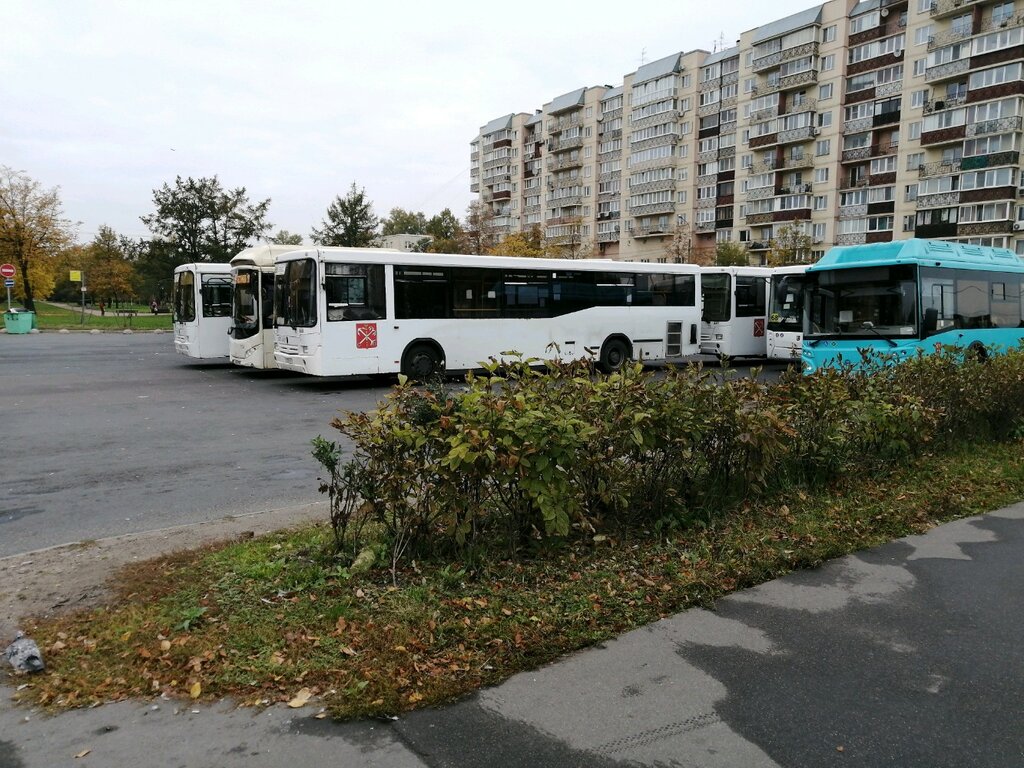 Bus station Gorodskoy sotsialny transport Avtostantsiya Schastlivaya, Saint Petersburg, photo