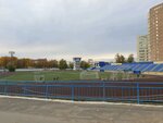 Динамо (Пермь, микрорайон Центр), стадион в Перми