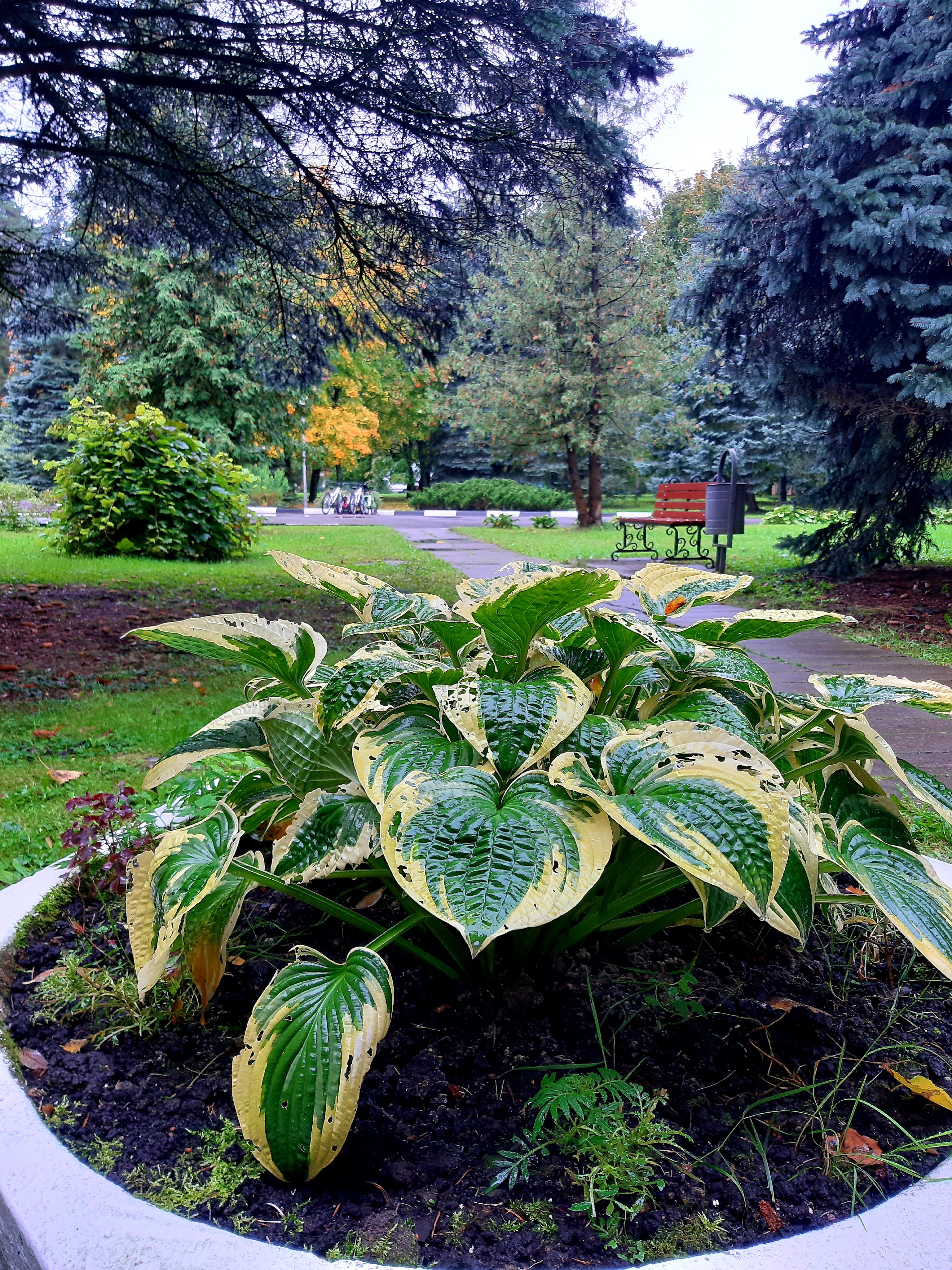 Фото Нагорное