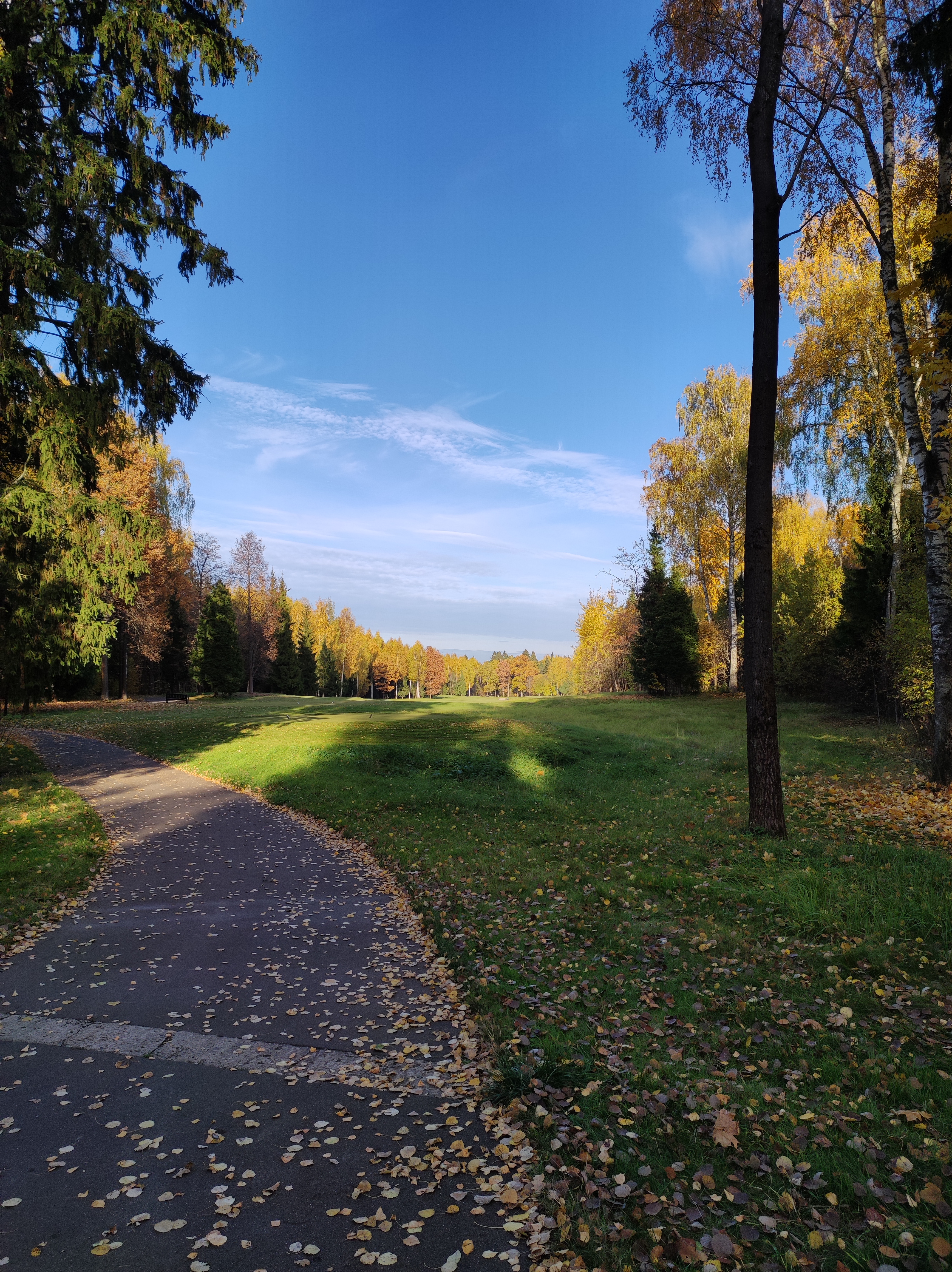 Фото Tseleevo Club & Resort