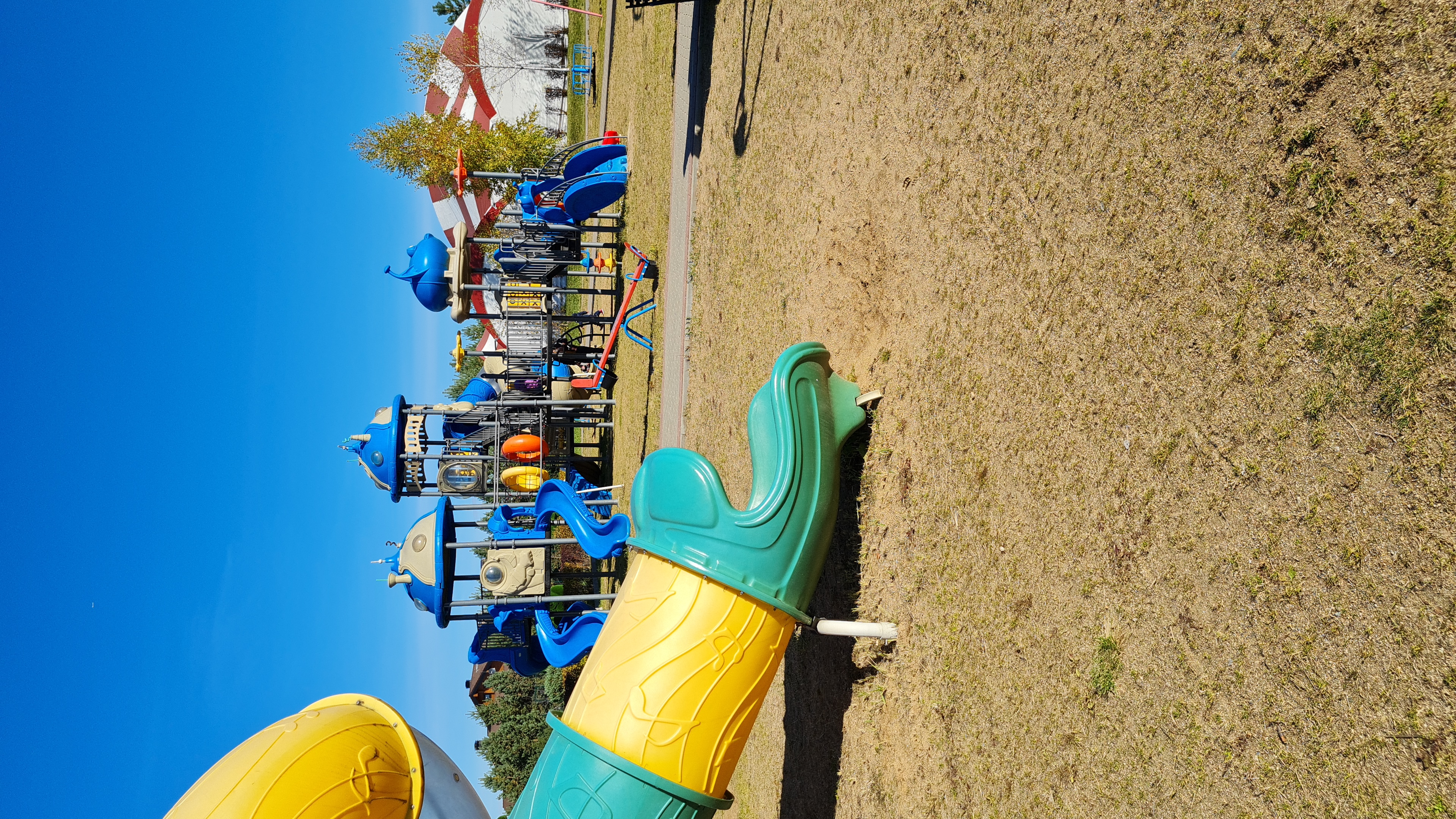 Фото Эко-отель Руза Фэмили парк