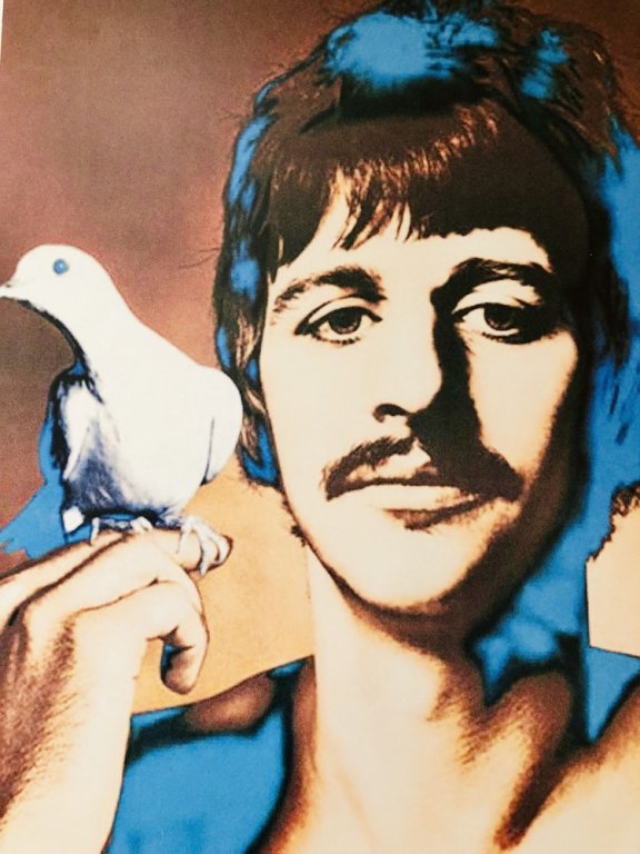 Фото Marilyn's Holiday House