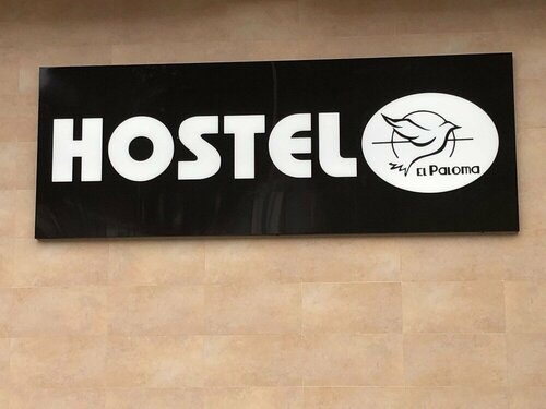 Гостиница Hostel El Paloma в Ларедо
