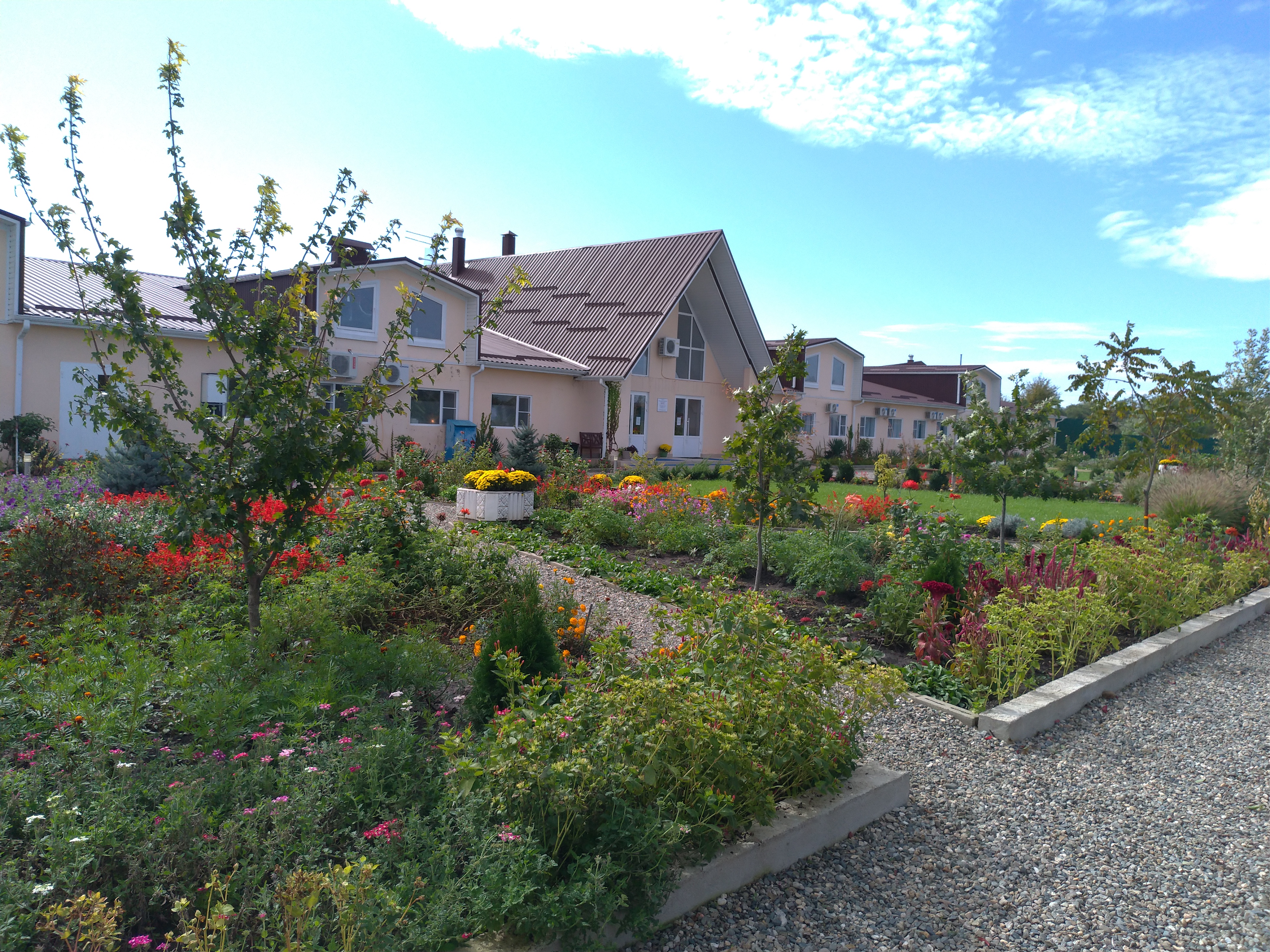 Фото Аква Тоника