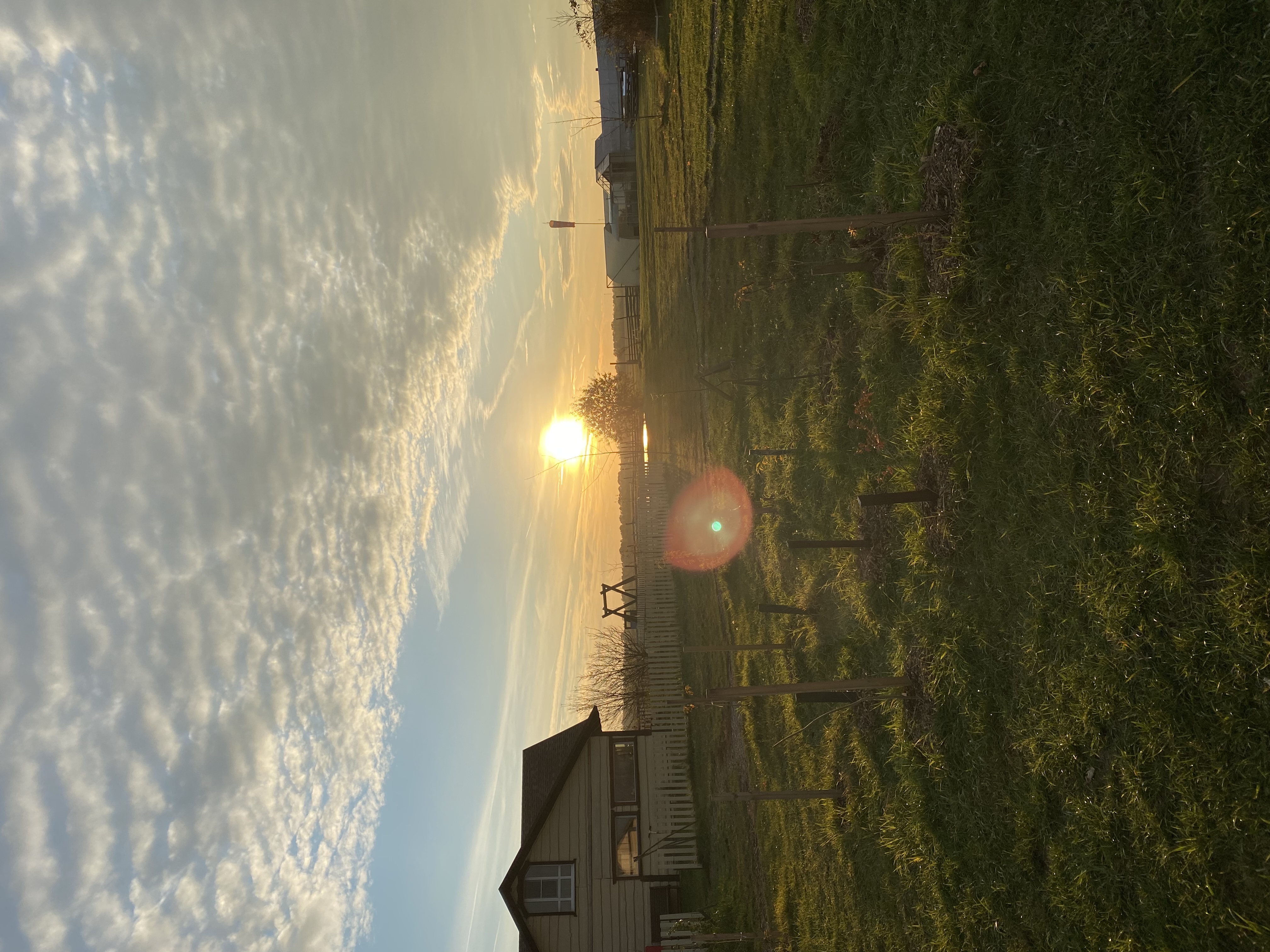 Фото Авиатор