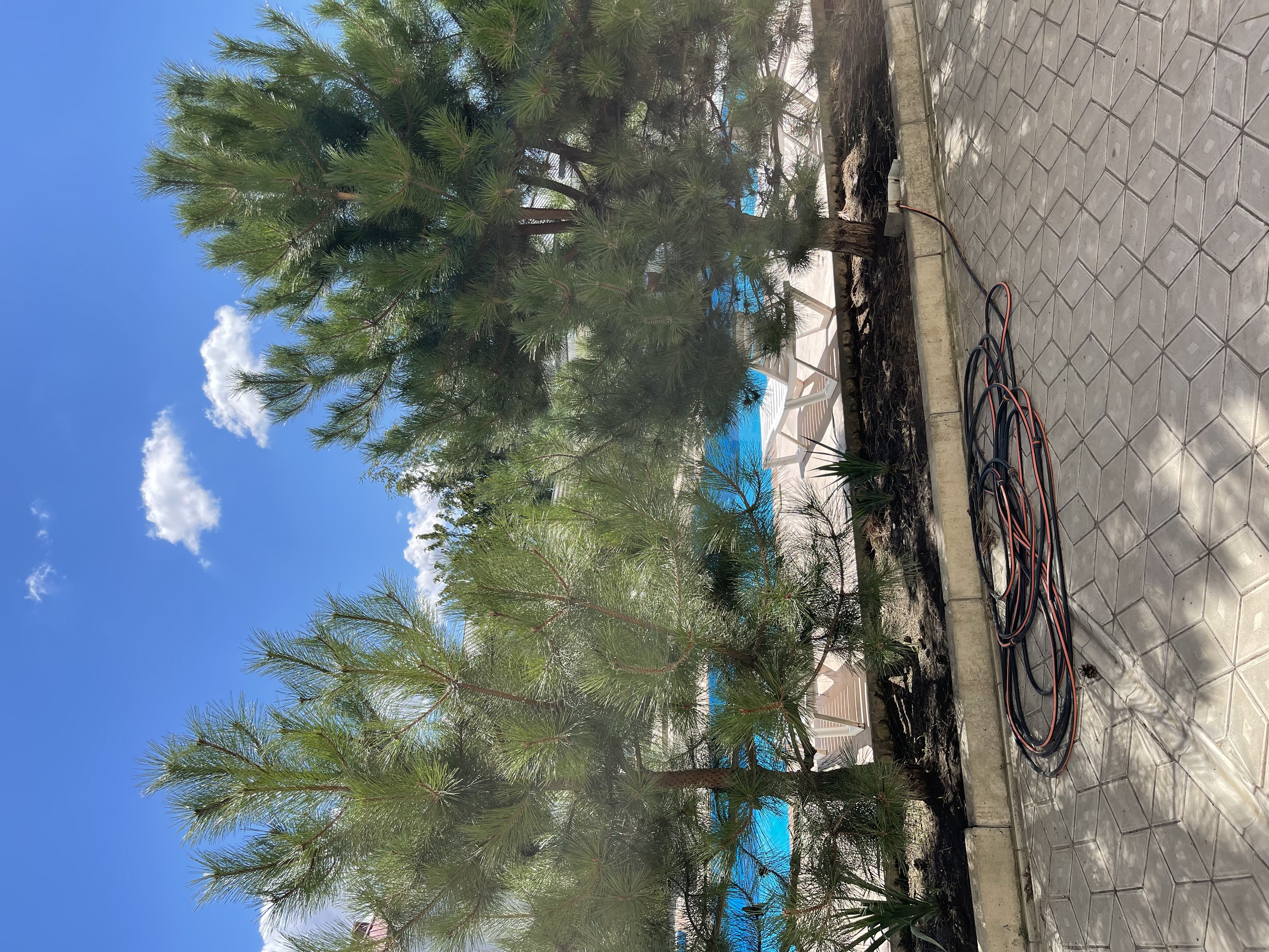 Фото Ланата