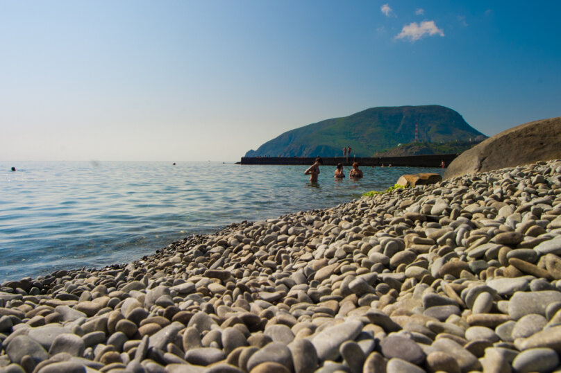 Фото Медуза