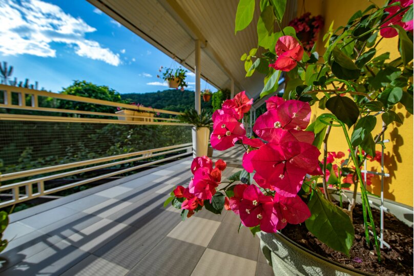 Фото Желтый Дом