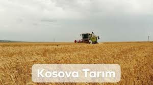 Agricultural enterprise Kosova tarım, Edirne, photo