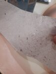 Bumaga Plyus (prospekt Lenina, 106), producción y venta de papel