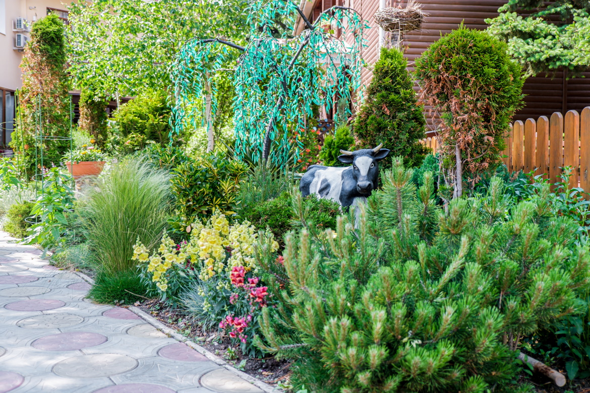 Фото Морские Рифы