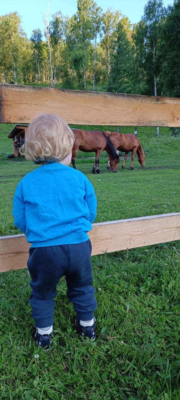Фото Чедоев привал
