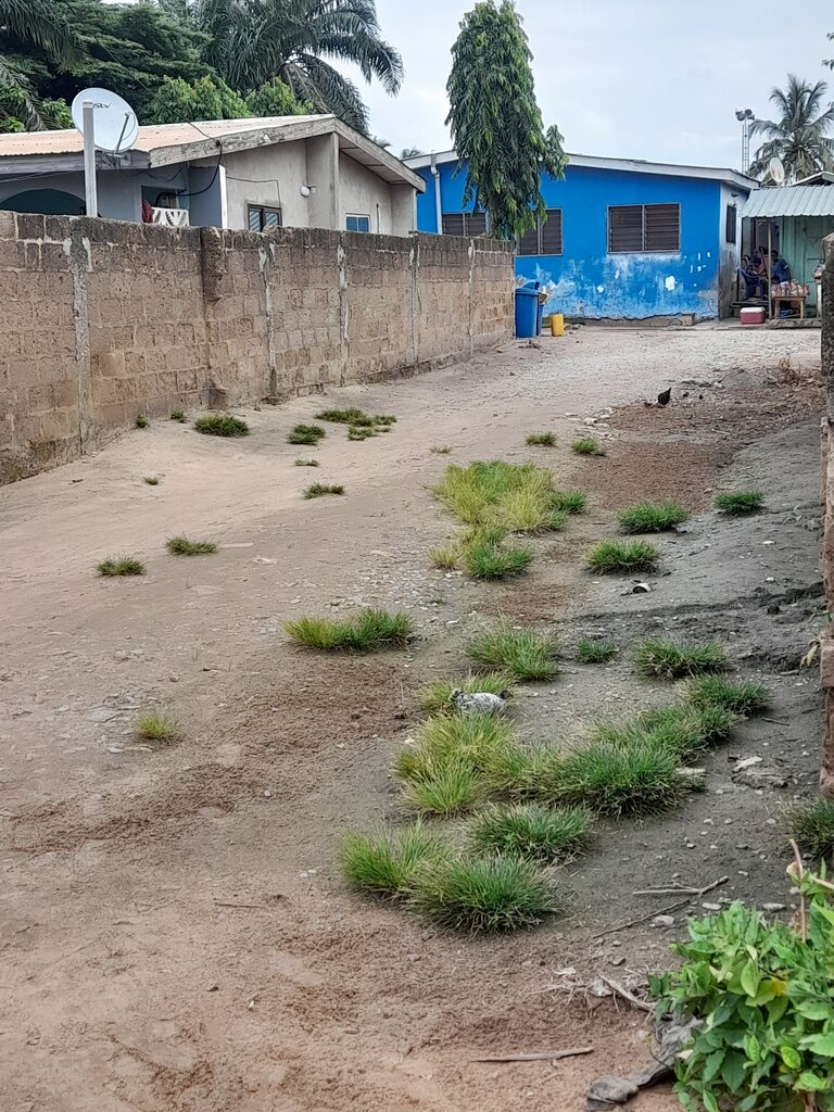 School Meyah preparatory school, Earth, photo