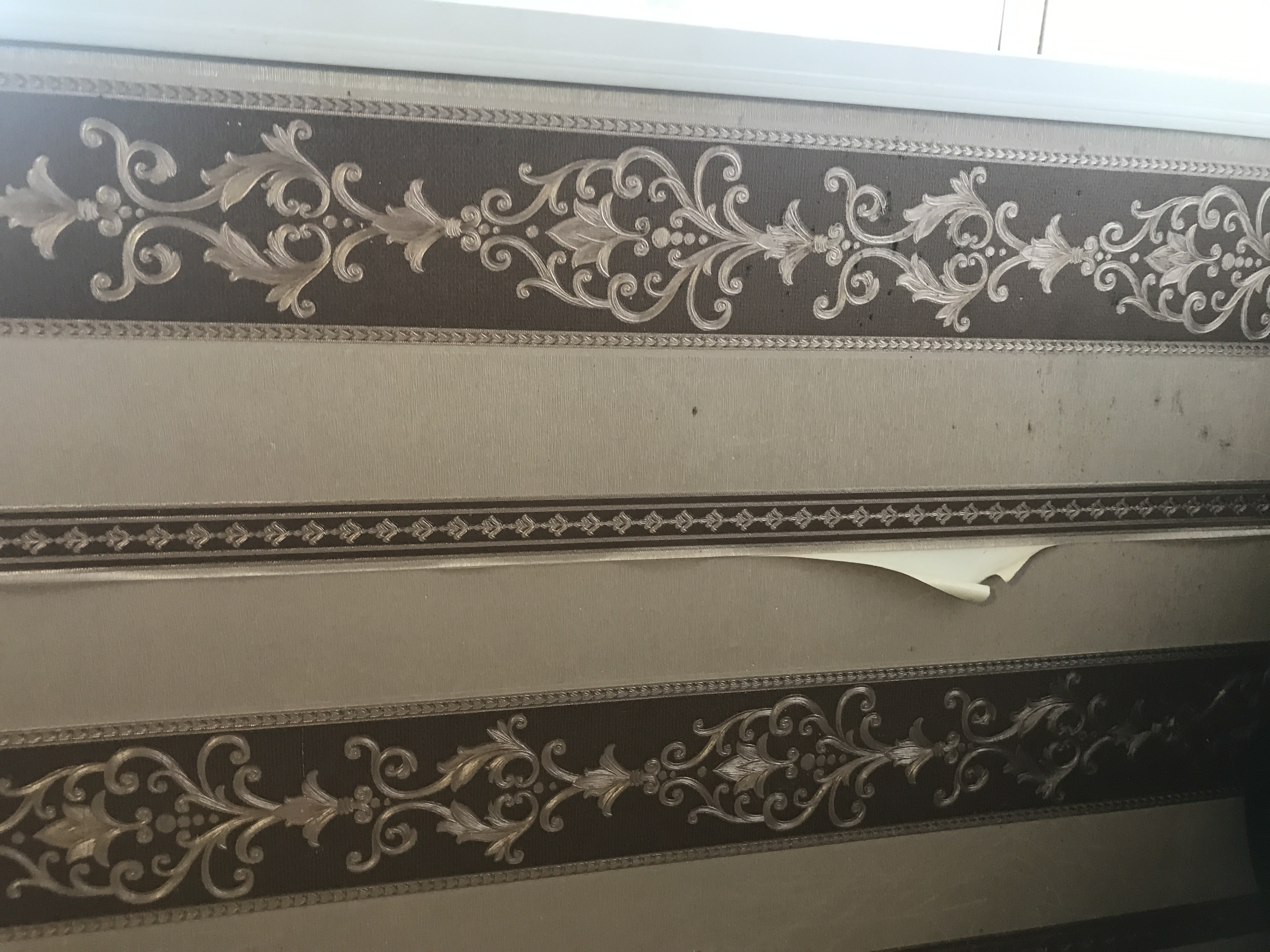 Фото Золотая Чаша