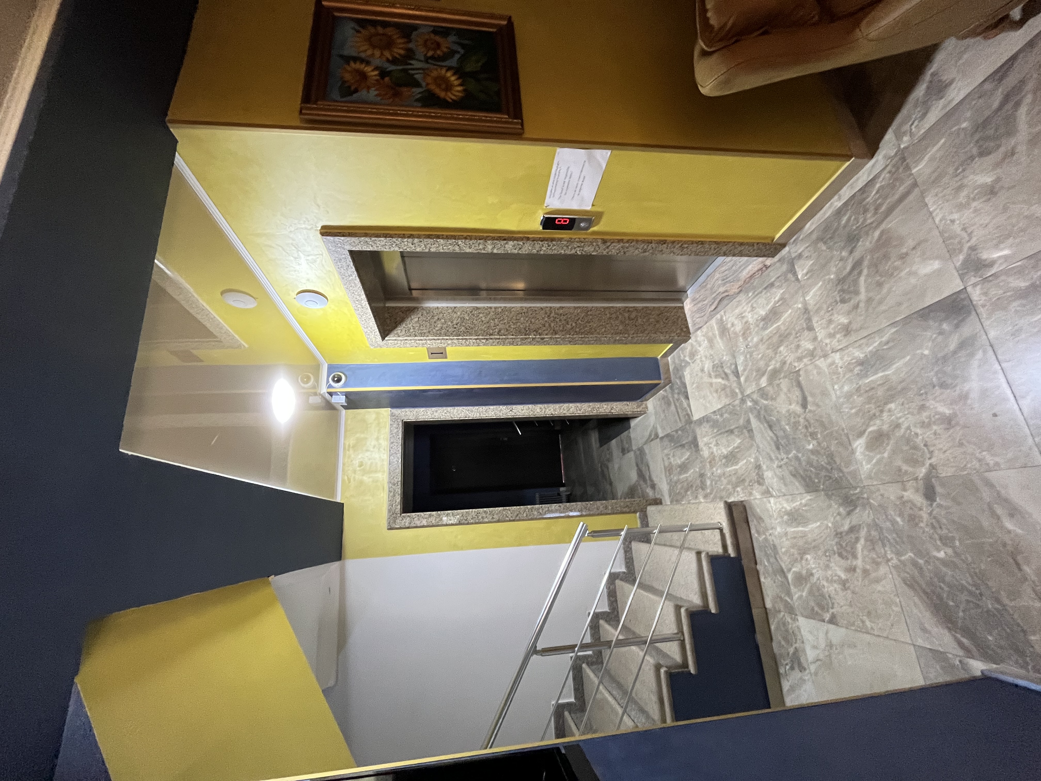 Фото Дельфин