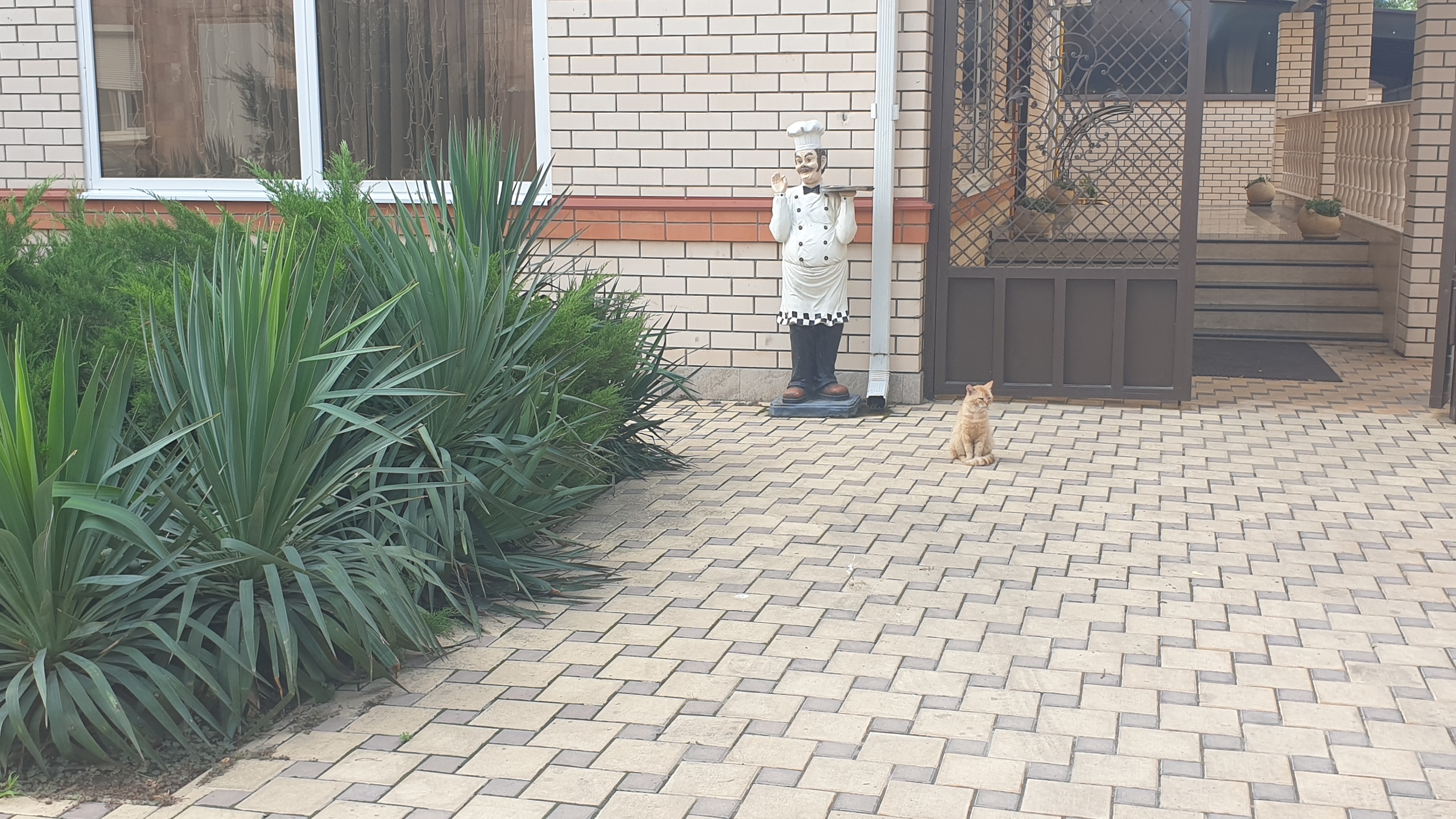 Фото Пирамида