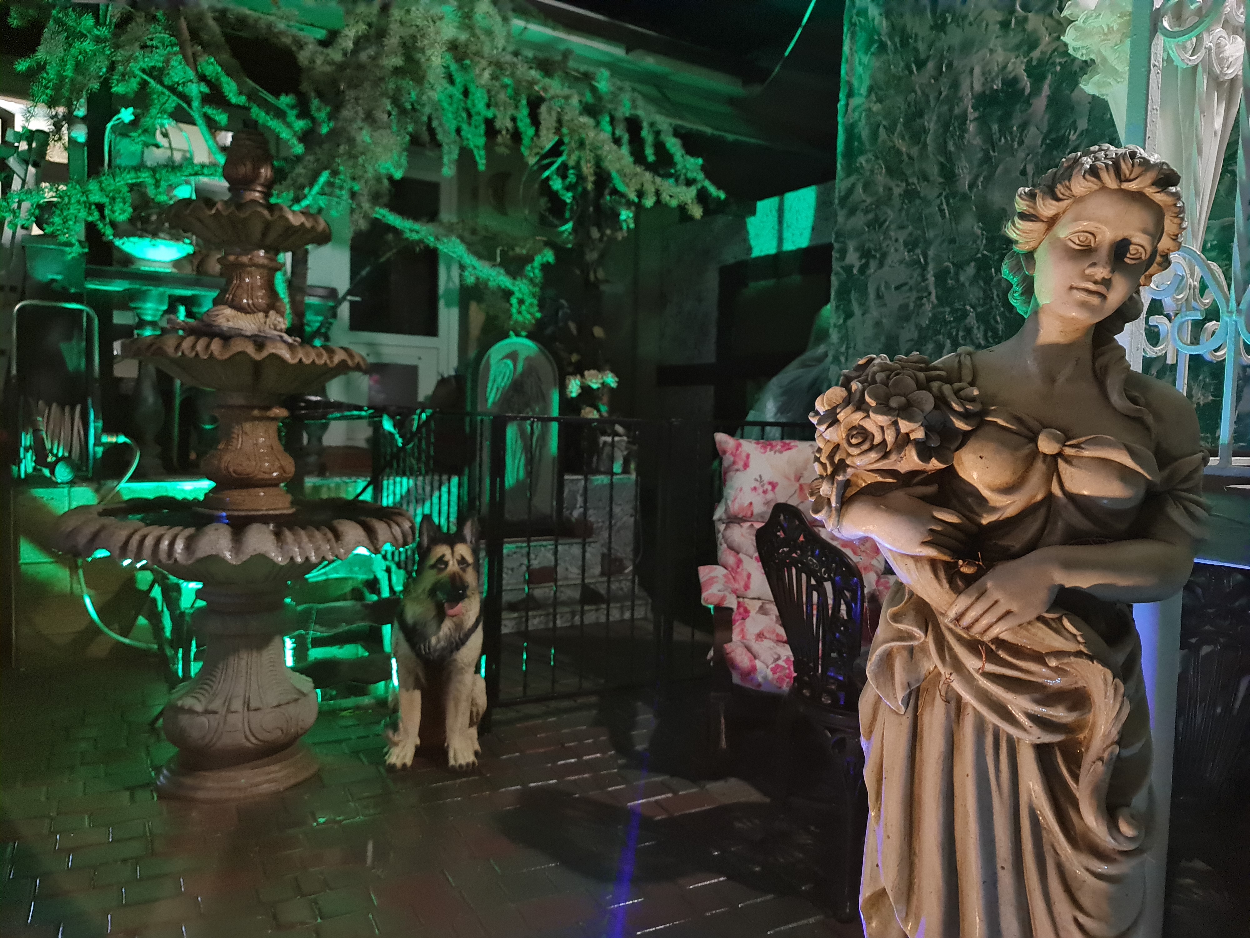 Фото Волшебный дворик