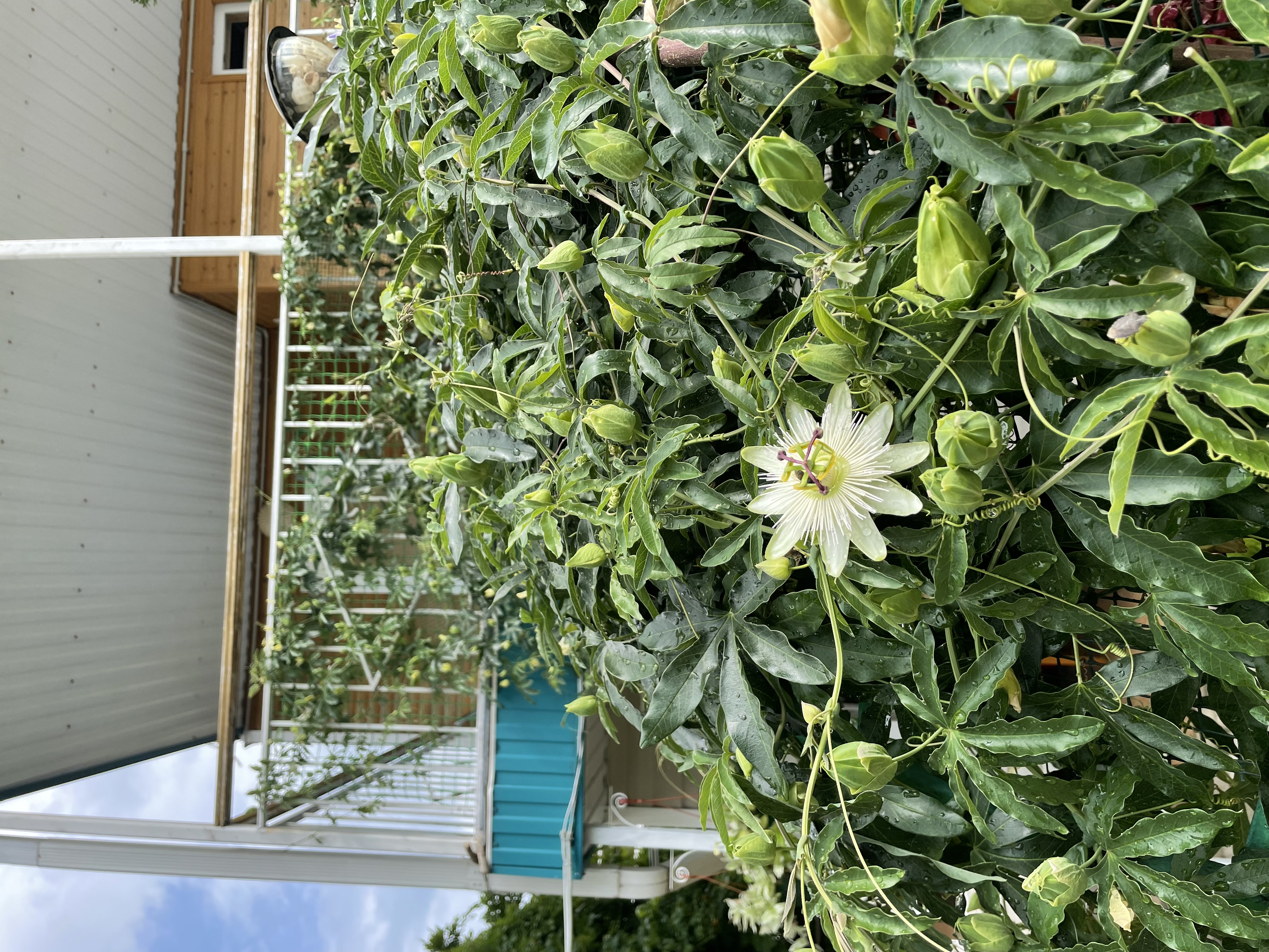 Фото Кругозор