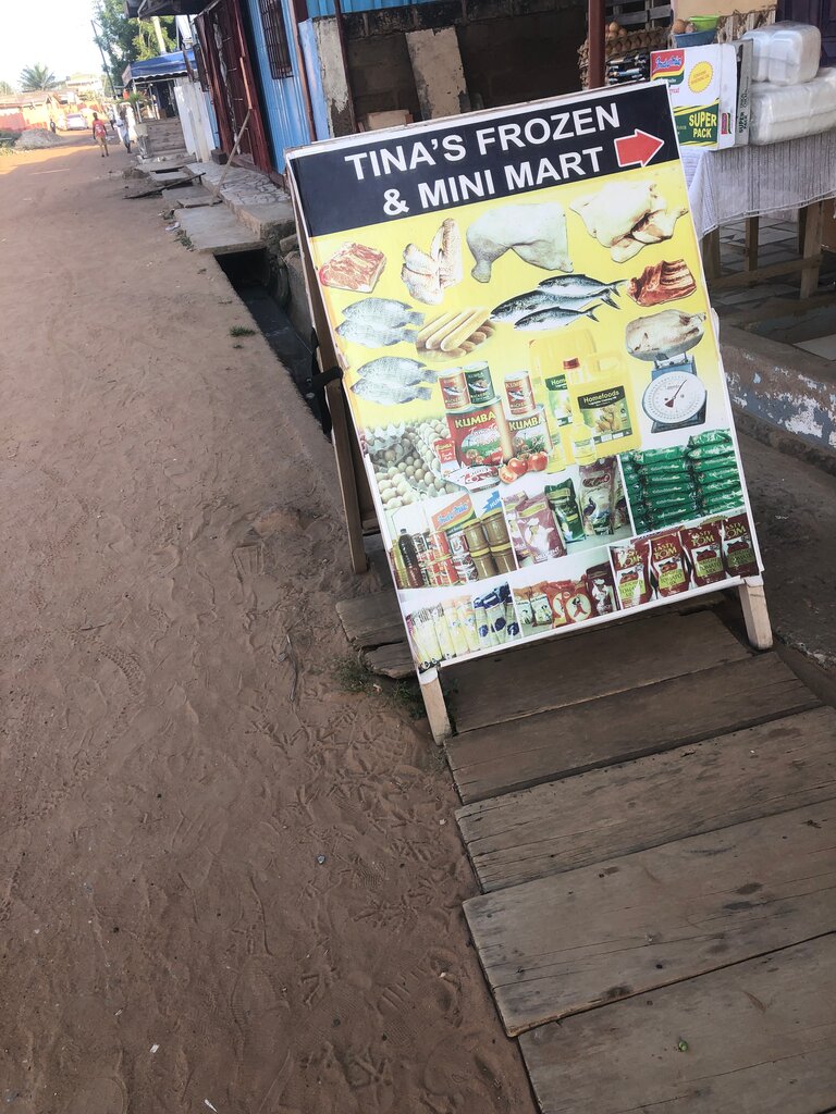 Grocery Tina's Frozen and Mini Mart, Earth, photo