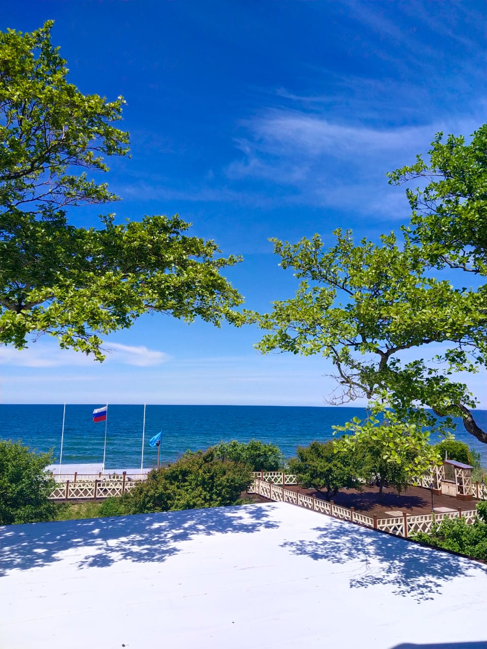 Фото Парк-отель Маякоvsкий