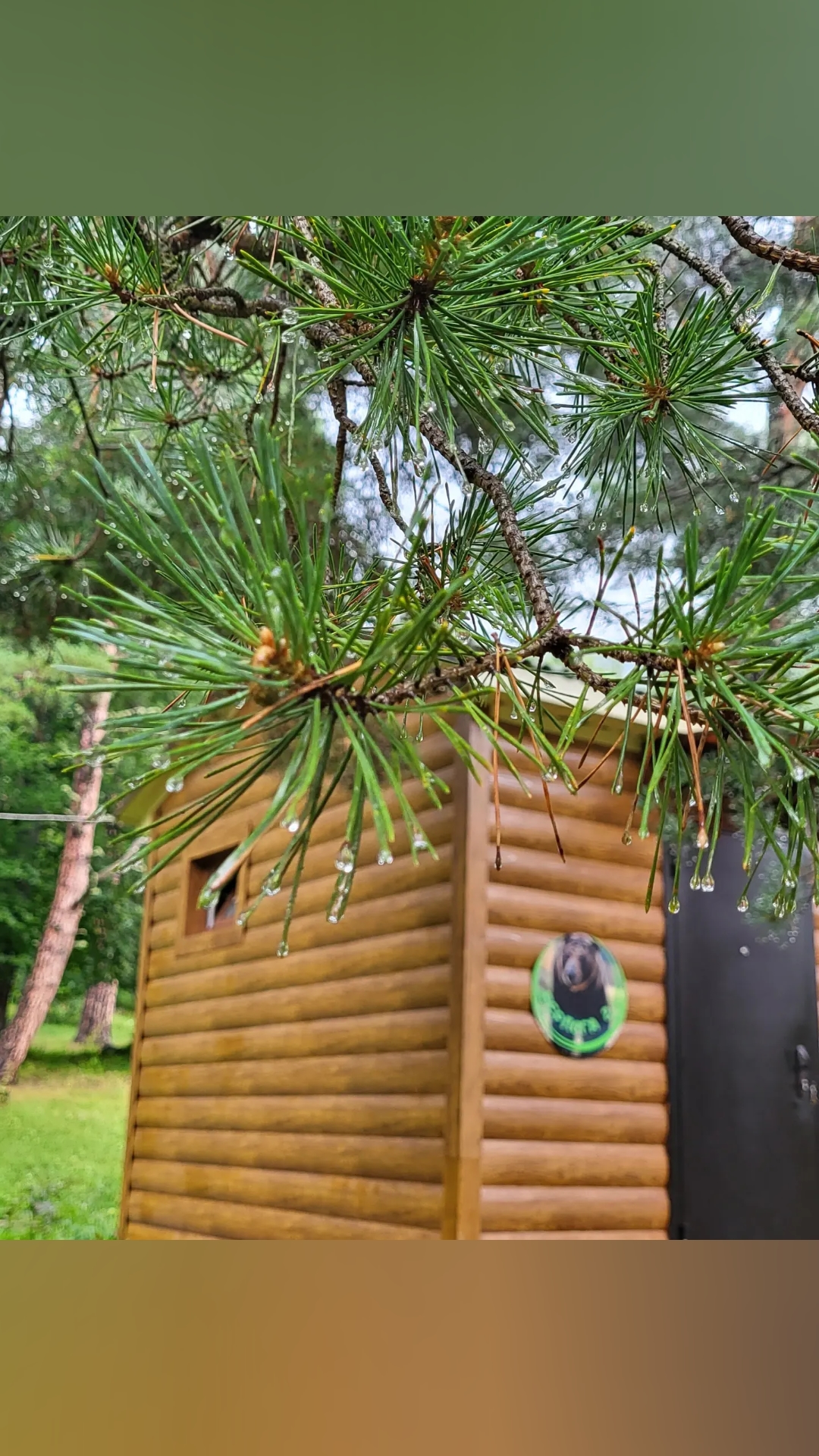 Фото Тайга House