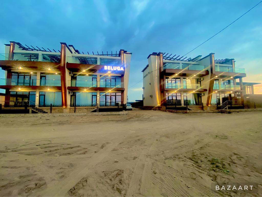 Фото Белуга