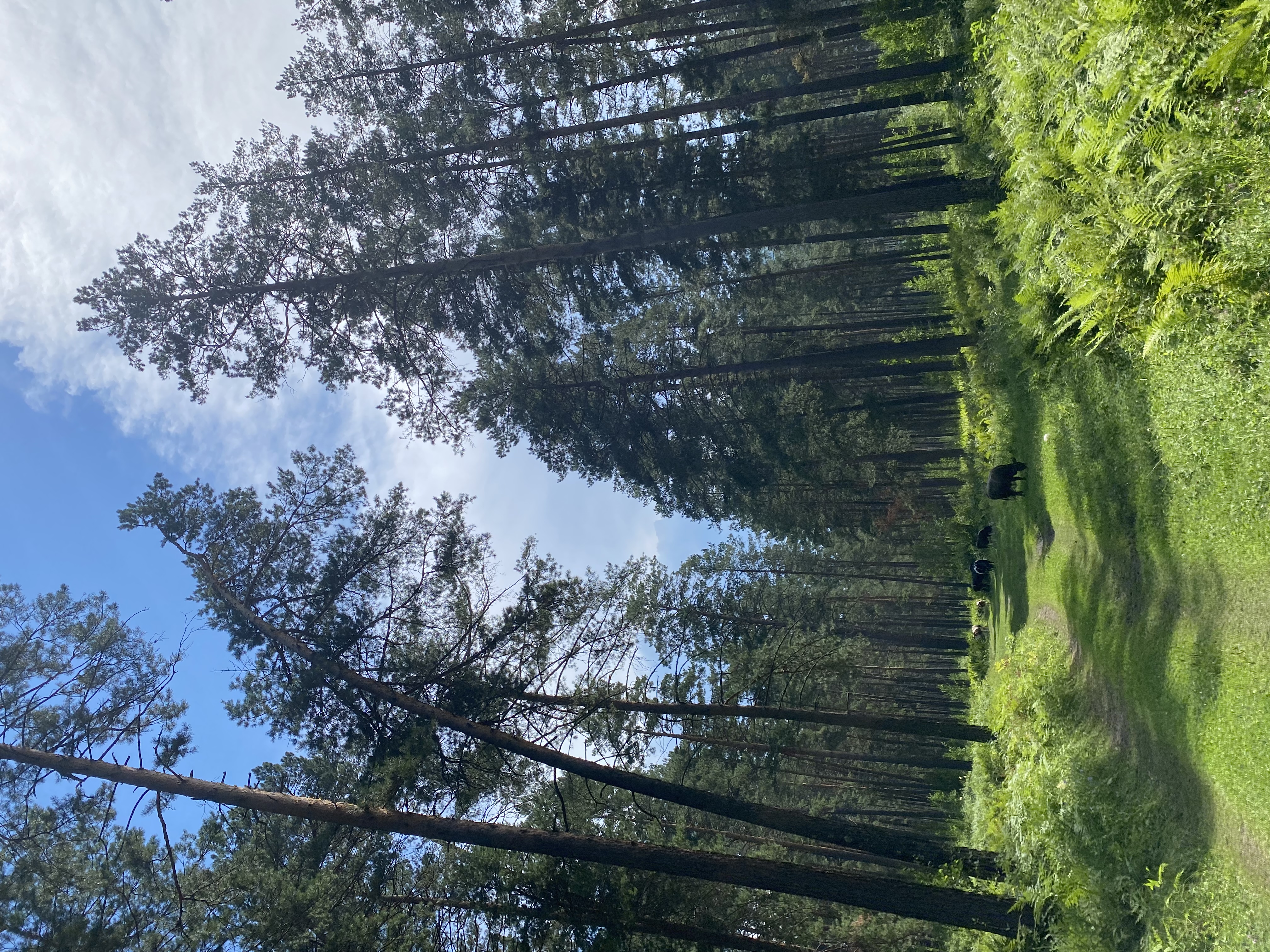 Фото Панорама