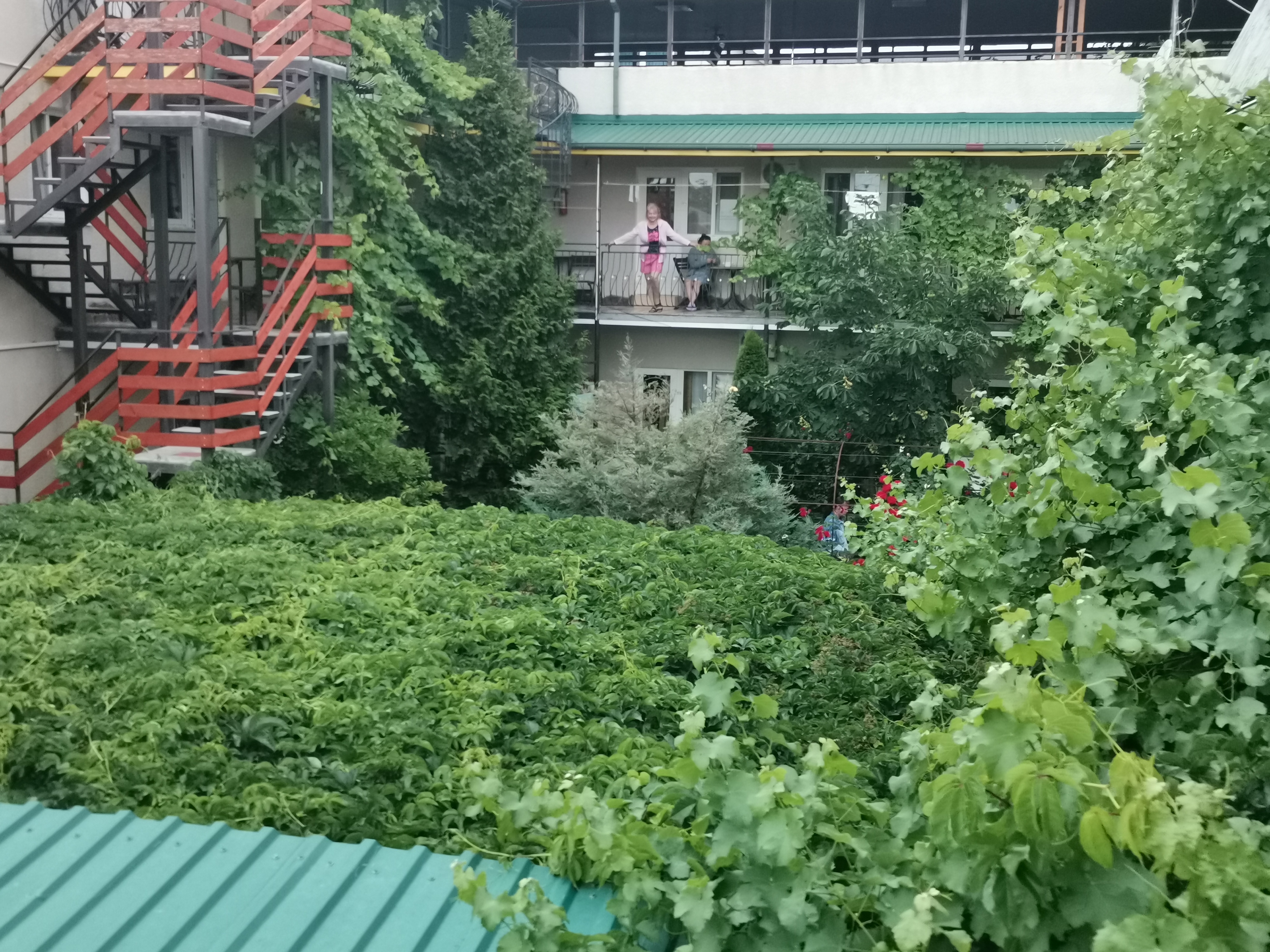 Фото Фортуна