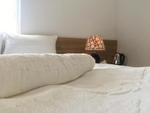 Фото Himalaya Phoenix Hotel