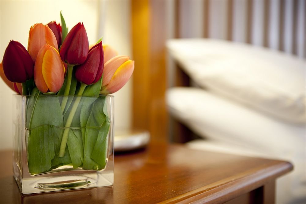 Фото Ansonia on Lydiard