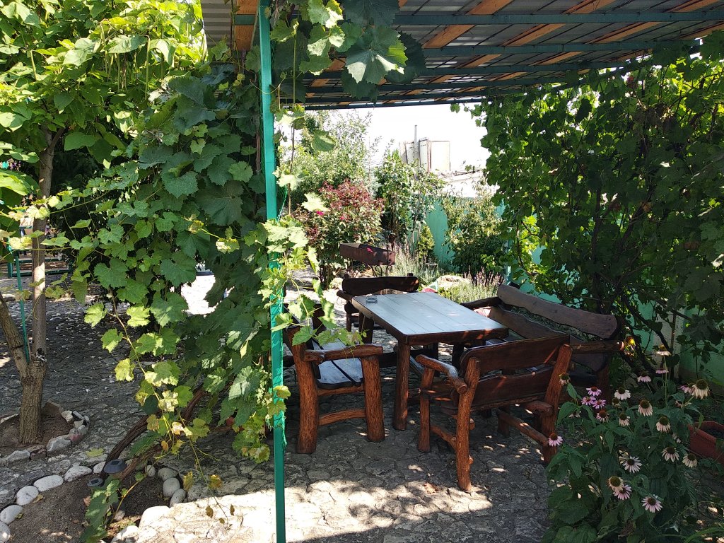 Фото Фортуна