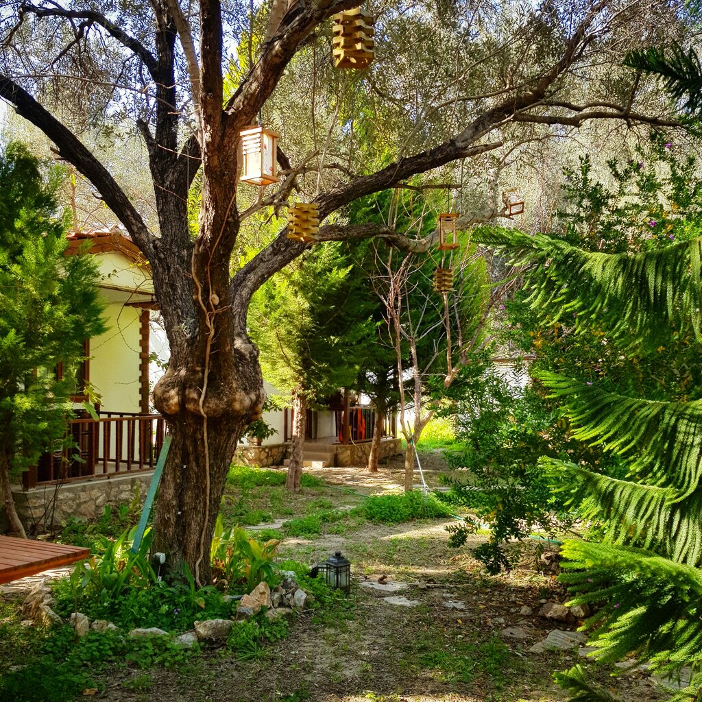 Eftalikus Datça, otel, Mesudiye Mah., Datça, Muğla, Türkiye Yandex