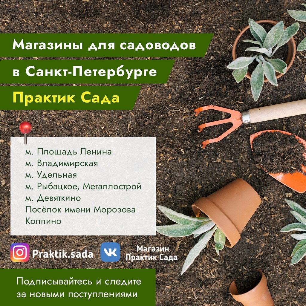 Магазин семян Практик сада, Санкт‑Петербург, фото