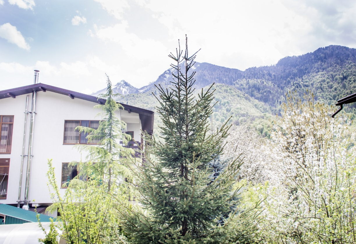 Фото Green House