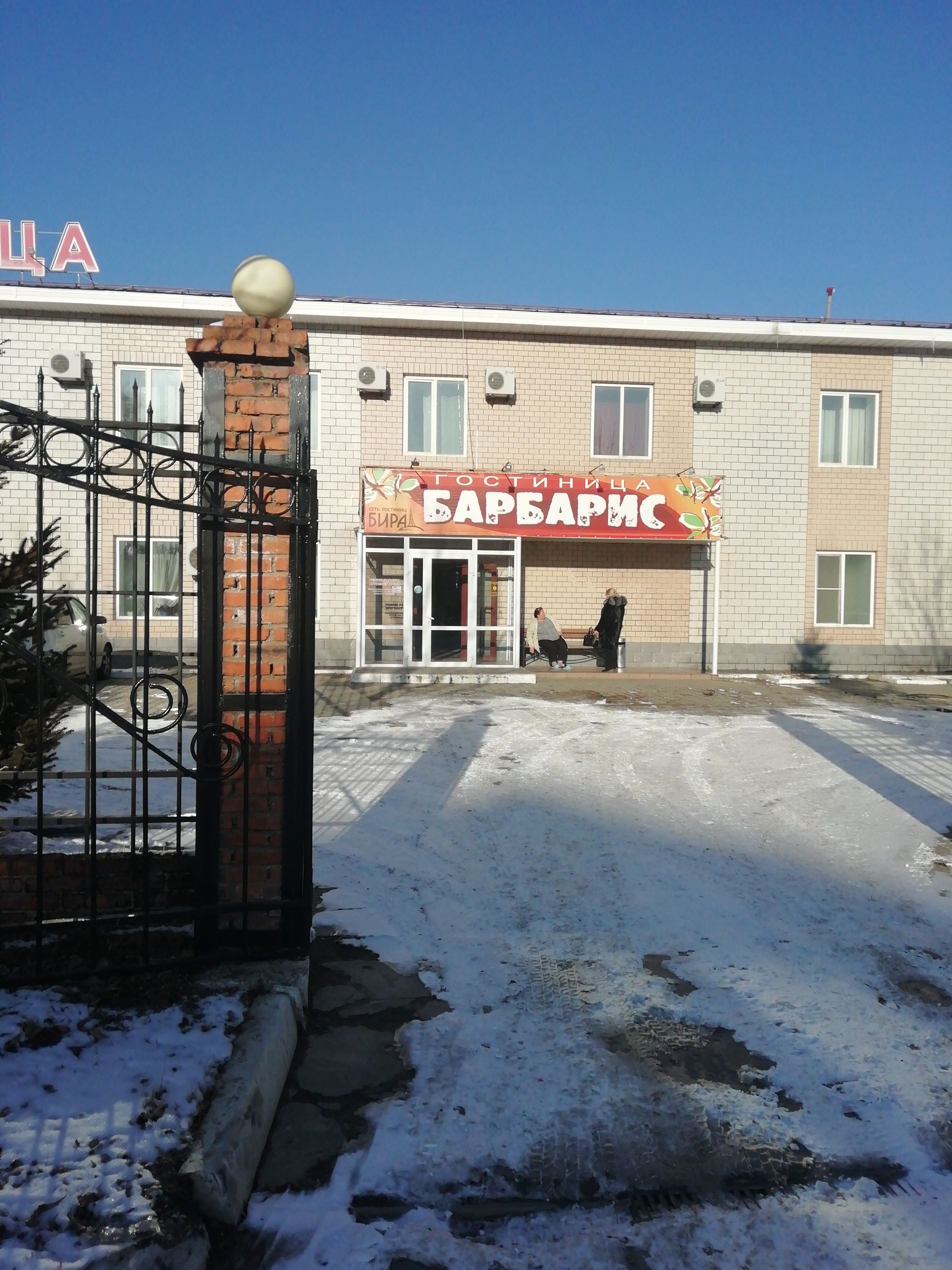 Фото Барбарис