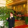 Shenzhen Golden Harbor Hotel