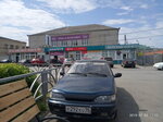 Аквариум (Vasileva Street, 7) ، أحواض السمك