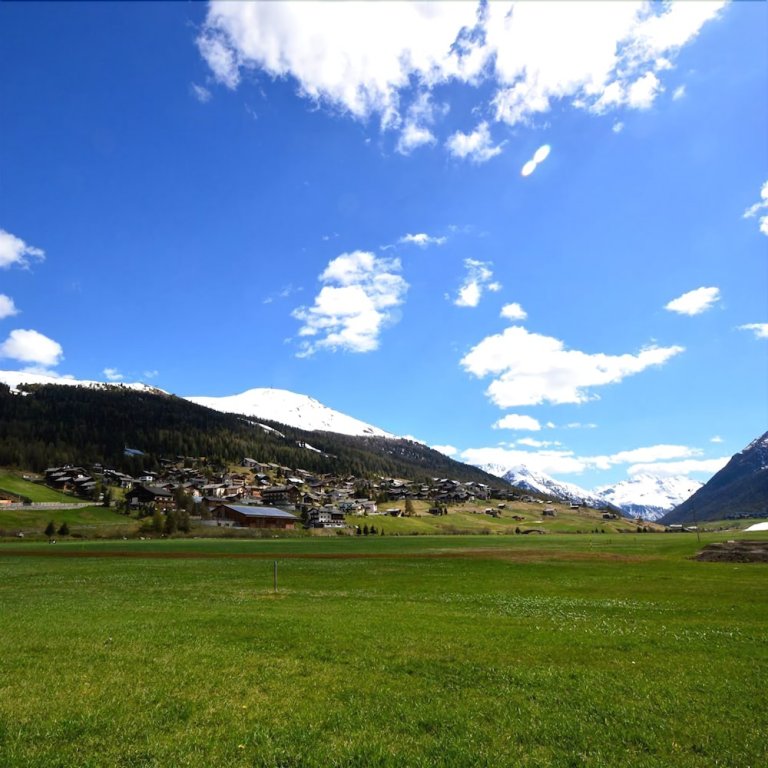 Фото Chalet Alpine Dream