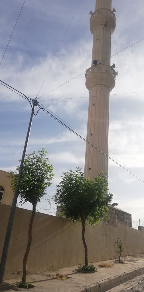 Mosque Mala Shukr Mosque, Dohuk, photo