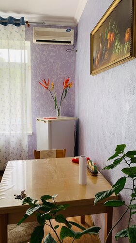 Гостиница Guest house Olga в Геленджике