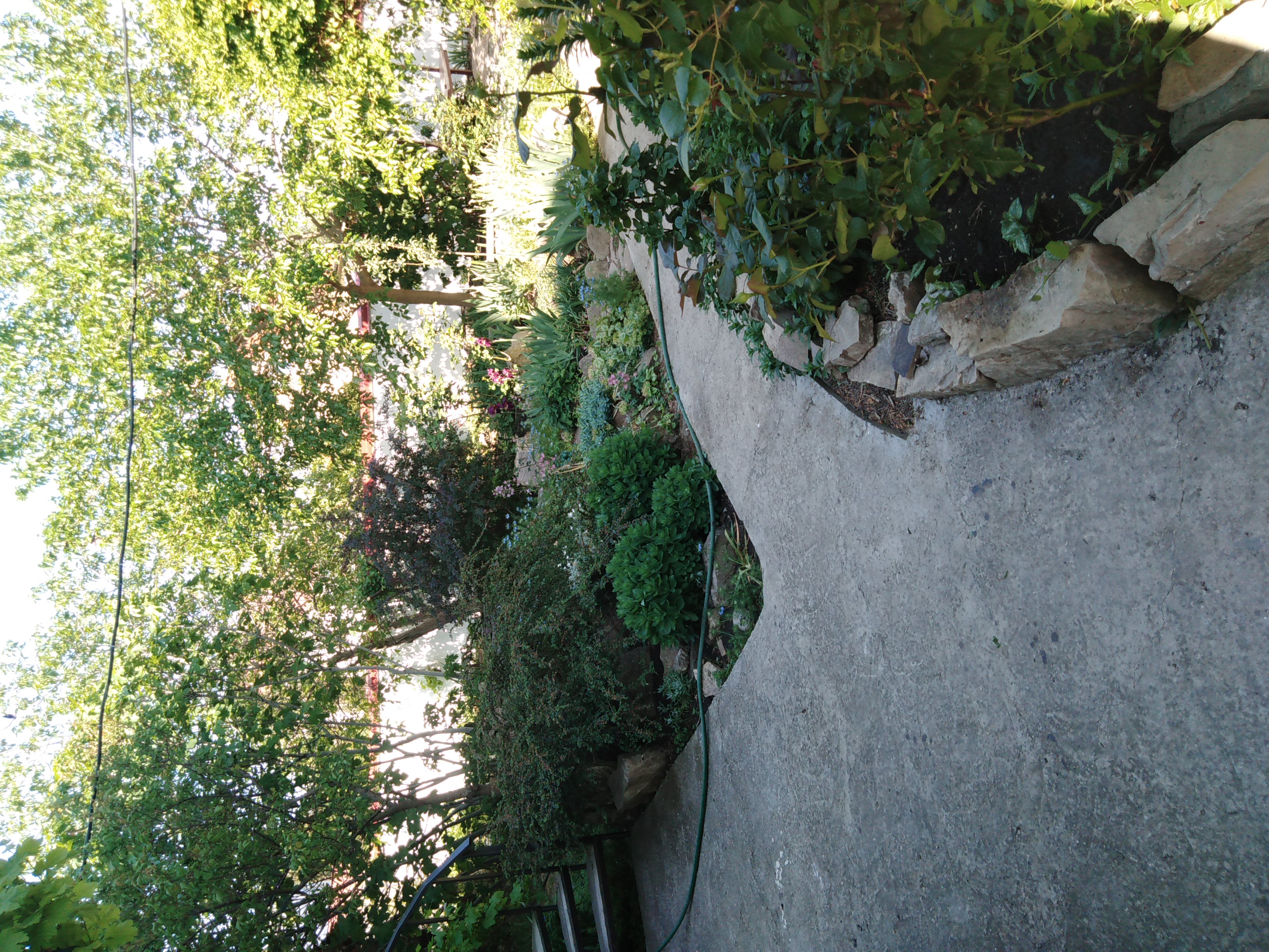 Фото Домик скульптора