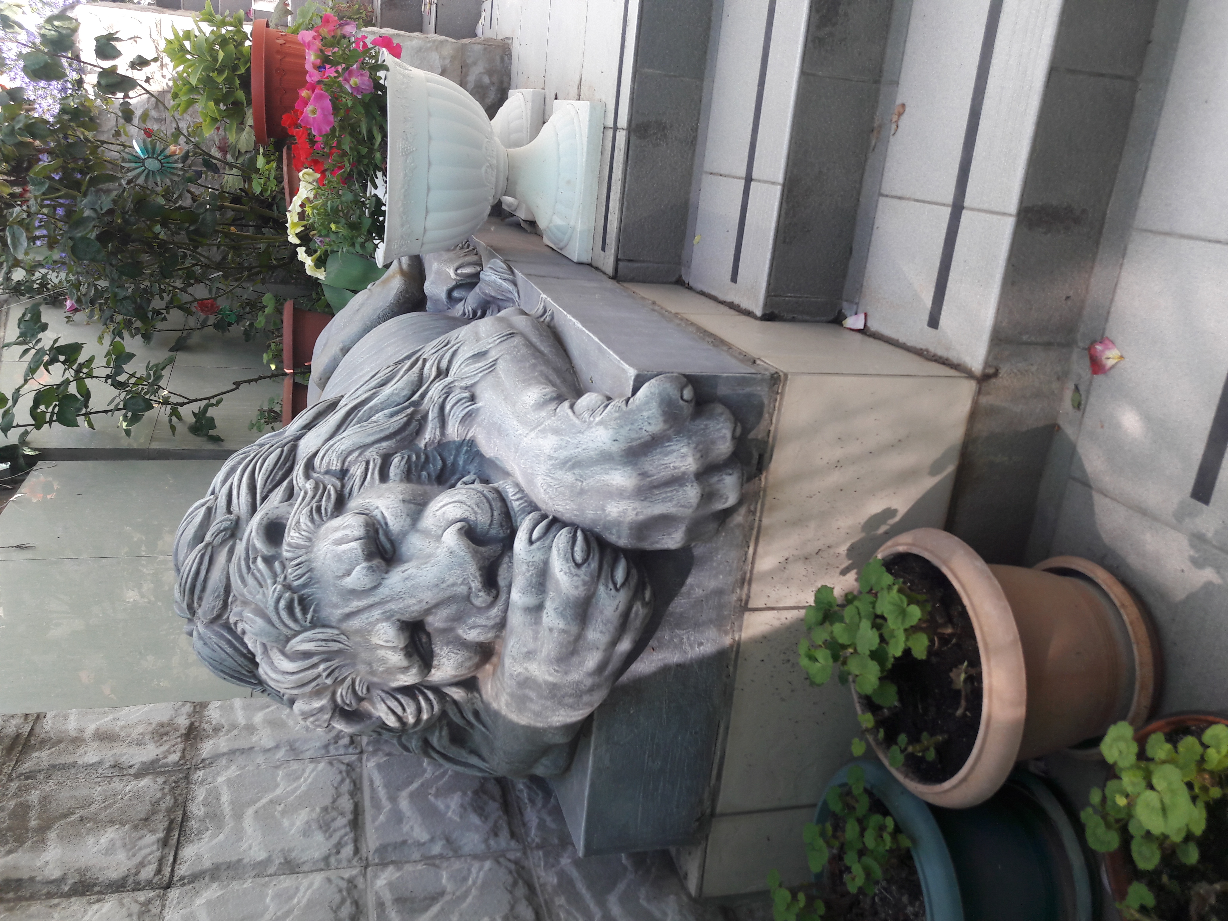 Фото Грин Палац