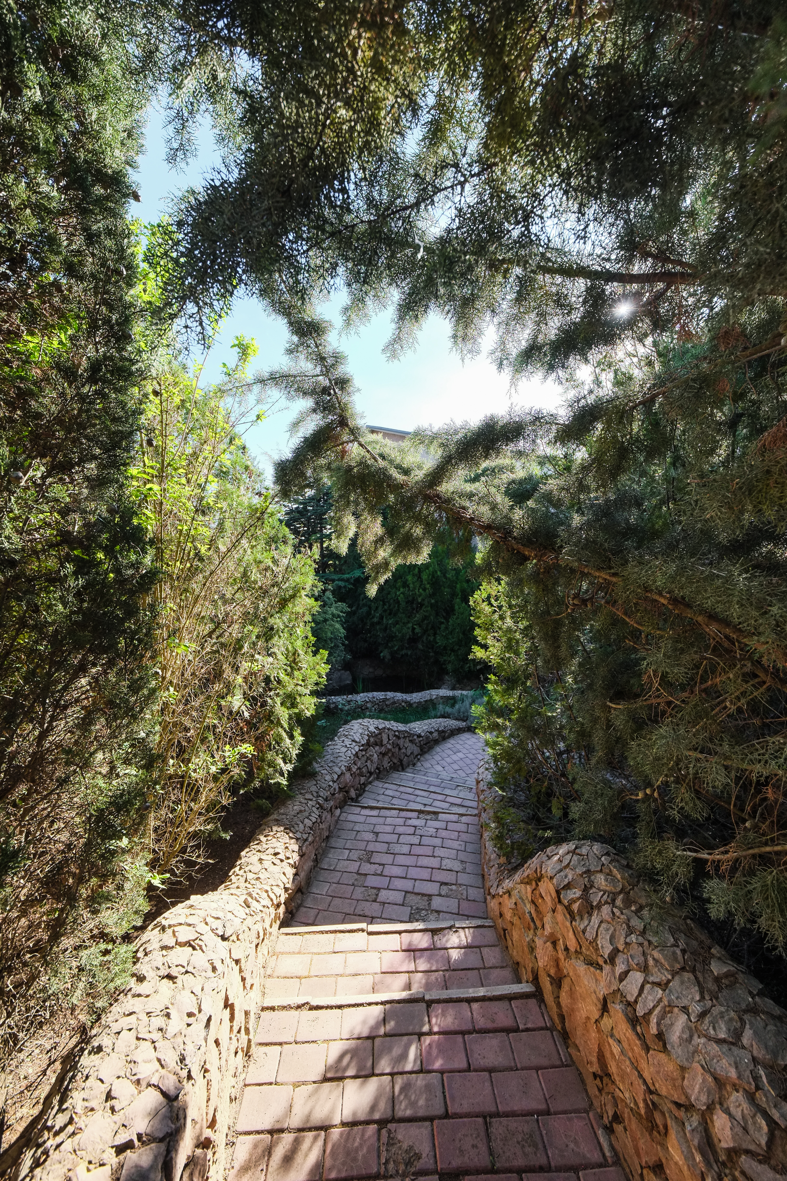 Фото Качинская