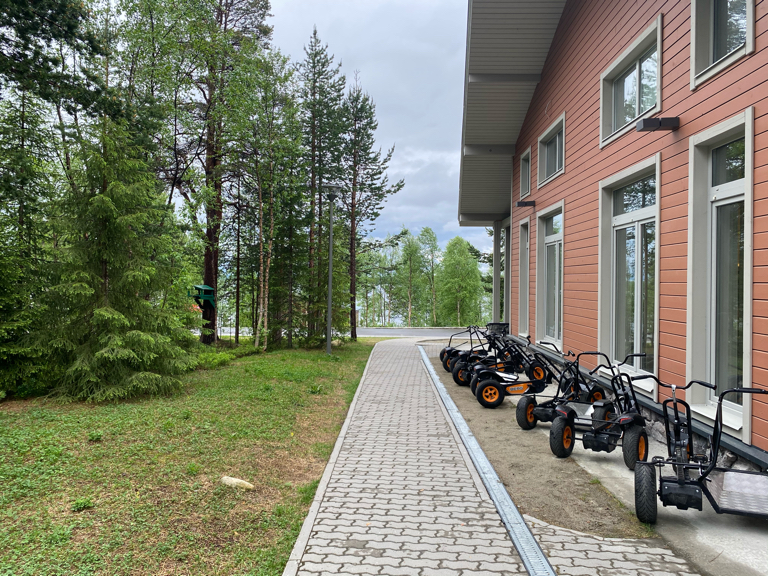 Фото Лесная