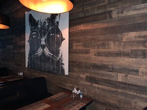Black cat Bar (Tashkent, Sergeli District, Yangi Sergeli Street, 1А), cafe