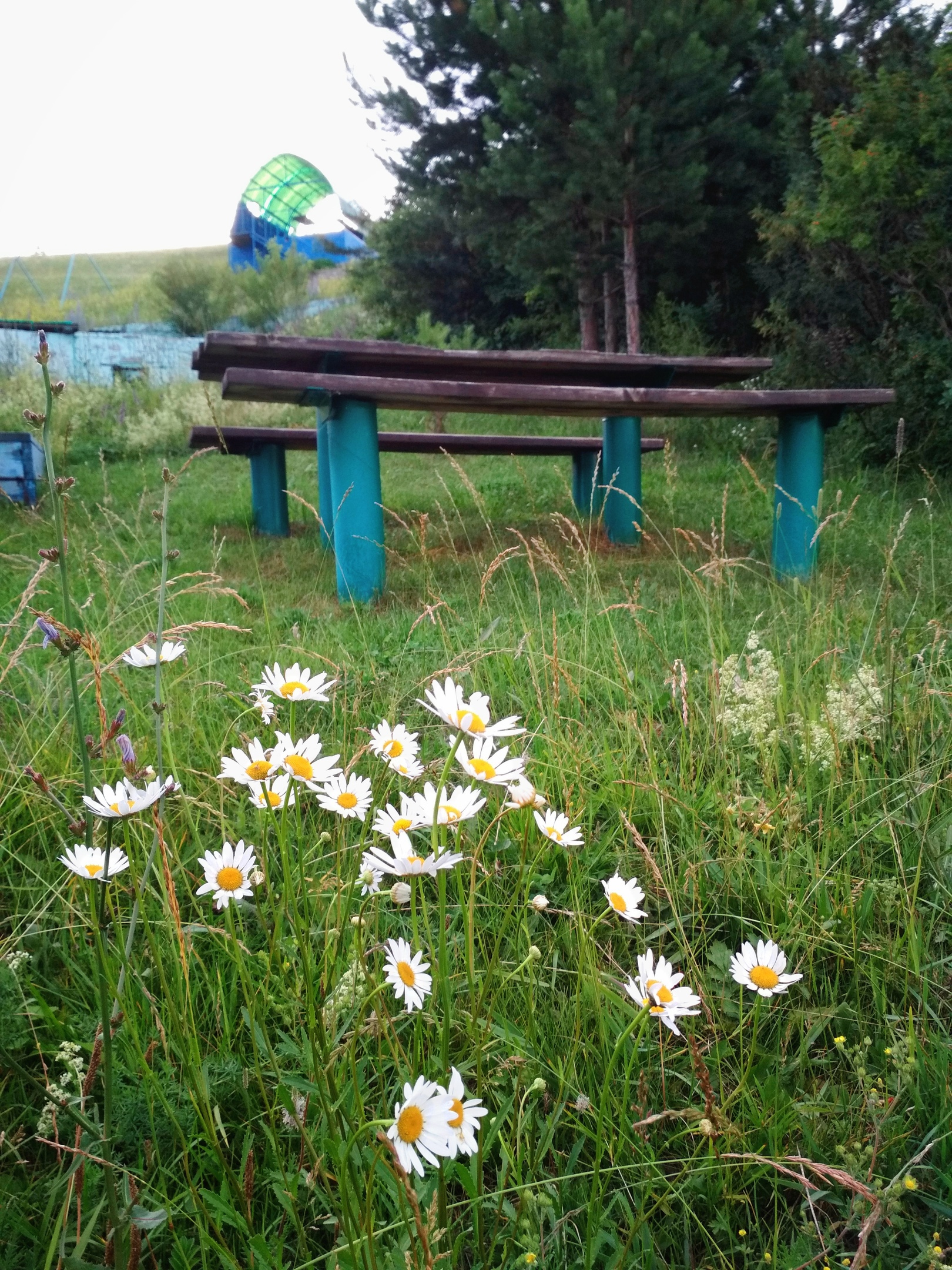 Фото Гора Весёлая