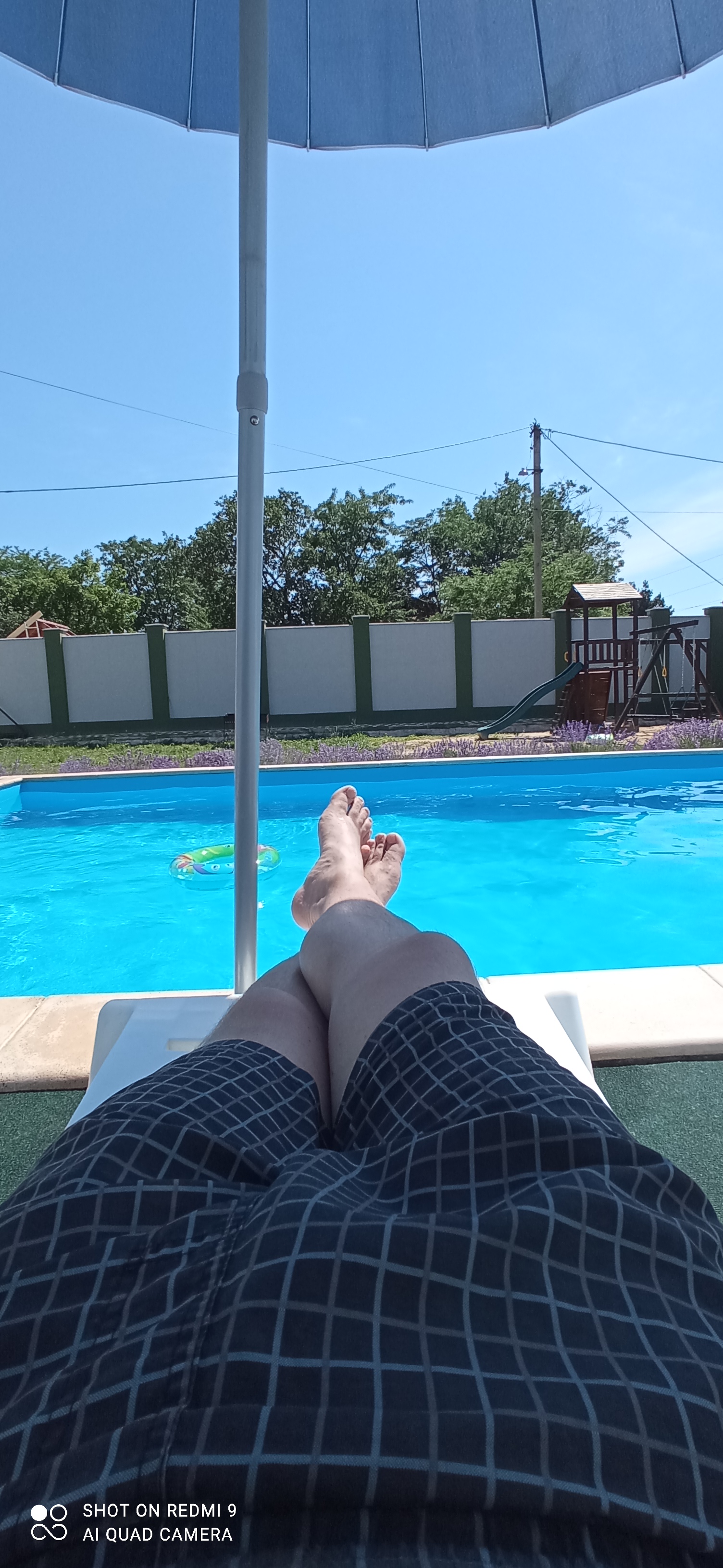 Фото Семицветик