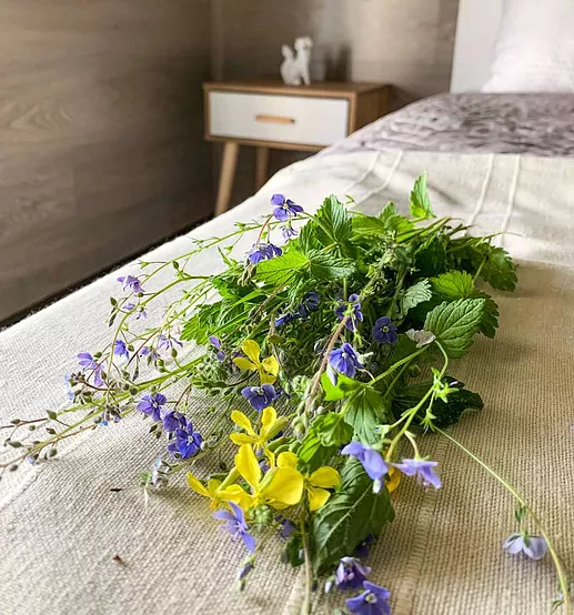 Фото Тундра Хаус Степаново